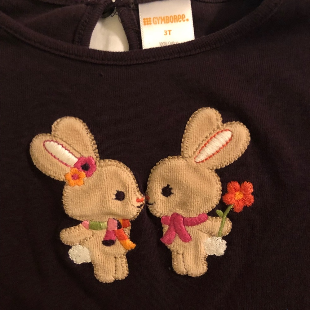 Gymboree long sleeve top size 3T
